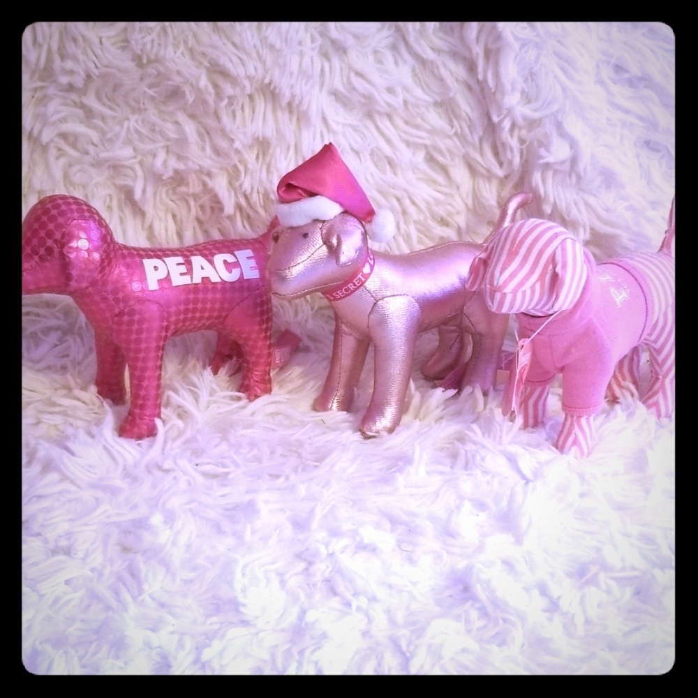 VS Pink dogs